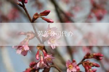 劳务公司代办