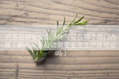 劳务公司安全生产许可证在哪个部门办理（新办劳务公司需要安全生产许可证吗）