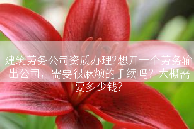 建筑劳务公司资质办理?想开一个劳务输出公司，需要很麻烦的手续吗？大概需要多少钱?