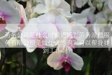 劳务公司是什么时候进场？劳务派遣服务有限公司是做什么的啊？可以帮我找到工作吗？