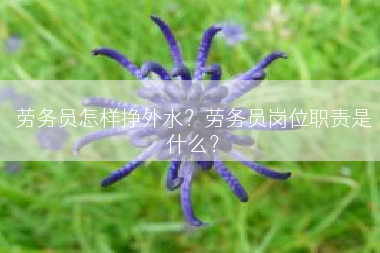 劳务员怎样挣外水？劳务员岗位职责是什么？