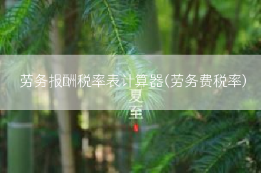 劳务报酬税率表计算器(劳务费税率)