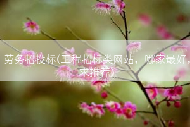劳务招投标(工程招标类网站，哪家最好，求推荐)