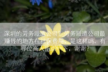 深圳的劳务派遣公司？劳务派遣公司最赚钱的地方在社保费用，是这样吗，有哪位高人指点一下，谢谢？