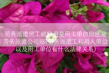 劳务派遣员工被辞退是用工单位赔还是劳务派遣公司赔(劳务派遣工和用人单位以及用工单位有什么法律关系)