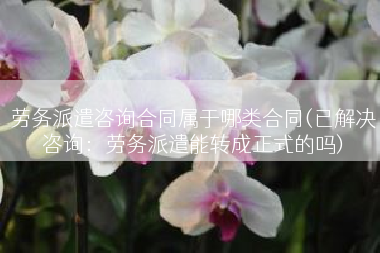 劳务派遣咨询合同属于哪类合同(已解决咨询：劳务派遣能转成正式的吗)