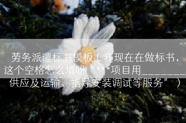 劳务派遣标书模板（我现在在做标书，这个空格怎么填呀“***项目用_______供应及运输、指导安装调试等服务”）