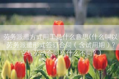 劳务派遣方式用工是什么意思(什么叫以劳务派遣形式签订合同（含试用期）？它与劳动合同有什么不同？)