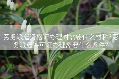 劳务派遣资格证办理时需要什么材料?劳务派遣许可证办理需要什么条件?