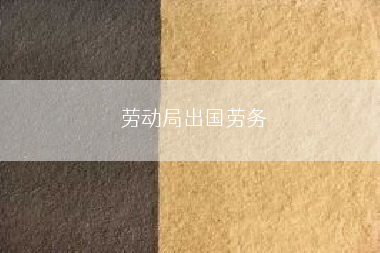 劳动局出国劳务