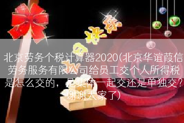 北京劳务个税计算器2020(北京华谊葭信劳务服务有限公司给员工交个人所得税是怎么交的，是集体一起交还是单独交？谢谢大家了)