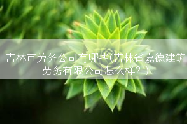 吉林市劳务公司有哪些(吉林省嘉德建筑劳务有限公司怎么样？)