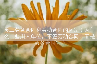 员工劳务合同和劳动合同的区别（为什么一些用人单位，不签劳动合同，而是劳务合同？）
