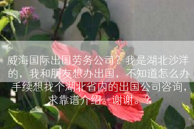 威海国际出国劳务公司？我是湖北沙洋的，我和朋友想办出国，不知道怎么办手续想找个湖北省内的出国公司咨询，求靠谱介绍。谢谢。？