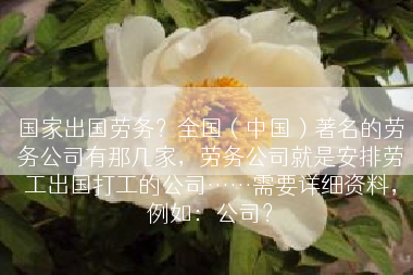 国家出国劳务？全国（中国）著名的劳务公司有那几家，劳务公司就是安排劳工出国打工的公司……需要详细资料，例如：公司？
