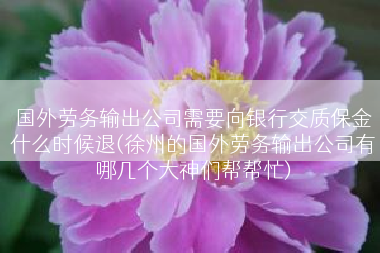 国外劳务输出公司需要向银行交质保金什么时候退(徐州的国外劳务输出公司有哪几个大神们帮帮忙)