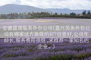 安徽盛唐服务外包公司(嘉兴劳务外包公司有哪家这方面做的好?信誉好,公司年龄长,服务费用很低 ,求推荐一家知名的企业。)
