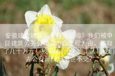 安徽建资建筑劳务有限公司？我们被申昆建筑劳务公司以市政工程为由，骗取了几十万元！被骗的有6个施工队！我们去公安部门报案也不受？