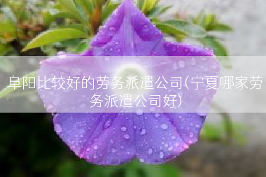 阜阳比较好的劳务派遣公司(宁夏哪家劳务派遣公司好)