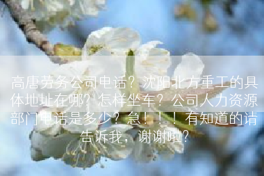 高唐劳务公司电话？沈阳北方重工的具体地址在哪？怎样坐车？公司人力资源部门电话是多少？急！！！有知道的请告诉我，谢谢啦？