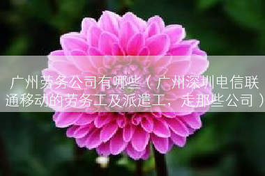 广州劳务公司有哪些（广州深圳电信联通移动的劳务工及派遣工，走那些公司）