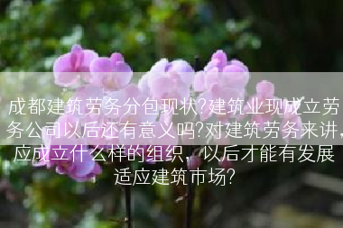 成都建筑劳务分包现状?建筑业现成立劳务公司以后还有意义吗?对建筑劳务来讲，应成立什么样的组织，以后才能有发展适应建筑市场?