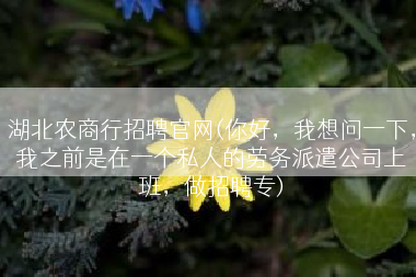 湖北农商行招聘官网(你好，我想问一下，我之前是在一个私人的劳务派遣公司上班，做招聘专)