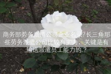 商务部劳务派遣公司企业名录?长三角那些劳务派遣公司比较有实力，关键是有输送派遣员工能力的.?