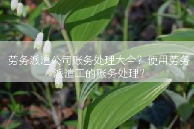 劳务派遣公司账务处理大全？使用劳务派遣工的账务处理？