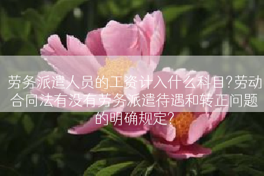 劳务派遣人员的工资计入什么科目?劳动合同法有没有劳务派遣待遇和转正问题的明确规定?