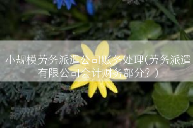 小规模劳务派遣公司账务处理(劳务派遣有限公司会计财务部分？)