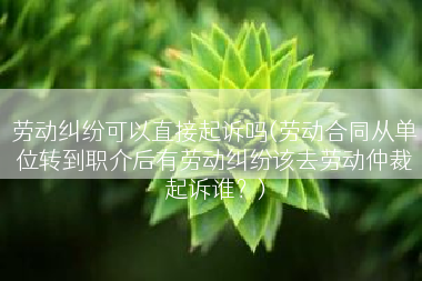 劳动纠纷可以直接起诉吗(劳动合同从单位转到职介后有劳动纠纷该去劳动仲裁起诉谁？)