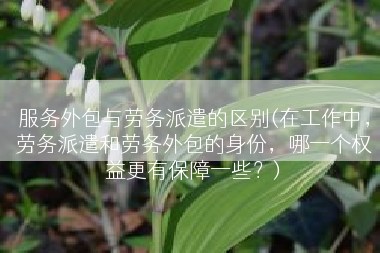 服务外包与劳务派遣的区别(在工作中，劳务派遣和劳务外包的身份，哪一个权益更有保障一些？)