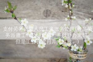 支付劳务派遣人员工资账务处理(我是劳务派遣工。已经自离。并以补办离职。但是工资在次月并未发放。)