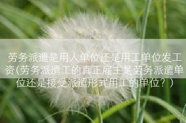 劳务派遣是用人单位还是用工单位发工资(劳务派遣工的真正雇主是劳务派遣单位还是接受派遣形式用工的单位？)