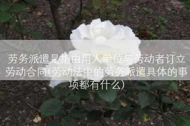 劳务派遣是指由用人单位与劳动者订立劳动合同(劳动法中的劳务派遣具体的事项都有什么)