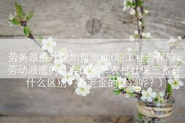 劳务派遣社保如何缴纳(职工社会保险。劳动派遣的社会保险和农村社保三者有什么区别？养老金的区别呢？)