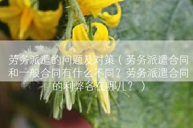 劳务派遣的问题及对策（劳务派遣合同和一般合同有什么不同？劳务派遣合同的利弊各在哪儿？）