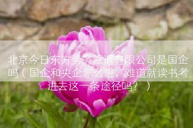 北京今日东方劳务派遣有限公司是国企吗（国企和央企怎么进，难道就读书考进去这一条途径吗？）