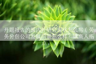 开题报告的国内外研究现状怎么写（劳务分包公司发展前景怎么样？请高人指点。）