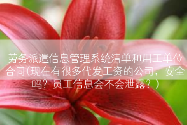 劳务派遣信息管理系统清单和用工单位合同(现在有很多代发工资的公司，安全吗？员工信息会不会泄露？)