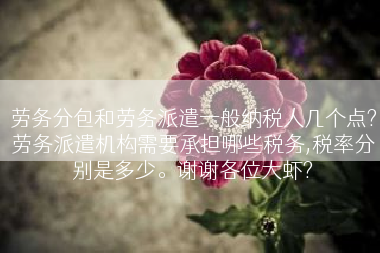劳务分包和劳务派遣一般纳税人几个点?劳务派遣机构需要承担哪些税务,税率分别是多少。谢谢各位大虾?