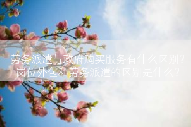 劳务派遣与政府购买服务有什么区别？岗位外包和劳务派遣的区别是什么？