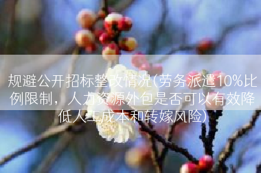 规避公开招标整改情况(劳务派遣10%比例限制，人力资源外包是否可以有效降低人工成本和转嫁风险)
