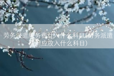 劳务派遣服务费计入什么科目(劳务派遣费用应放入什么科目)