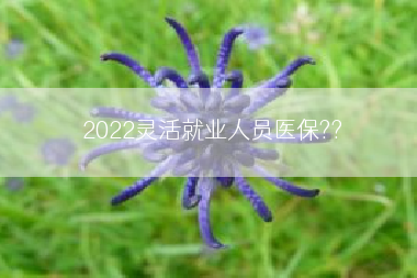 2022灵活就业人员医保??