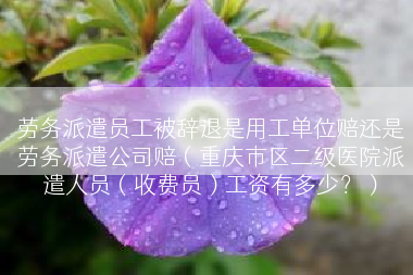 劳务派遣员工被辞退是用工单位赔还是劳务派遣公司赔（重庆市区二级医院派遣人员（收费员）工资有多少？）