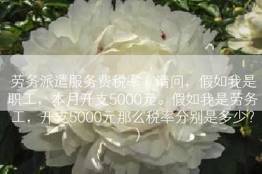 劳务派遣服务费税率（请问，假如我是职工，本月开支5000元。假如我是劳务工，开支5000元那么税率分别是多少？）
