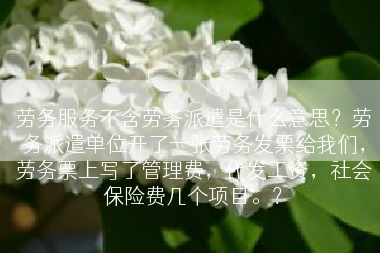劳务服务不含劳务派遣是什么意思？劳务派遣单位开了一张劳务发票给我们，劳务票上写了管理费，代发工资，社会保险费几个项目。？