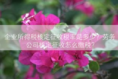 企业所得税核定征收税率是多少？劳务公司核定征收怎么缴税？